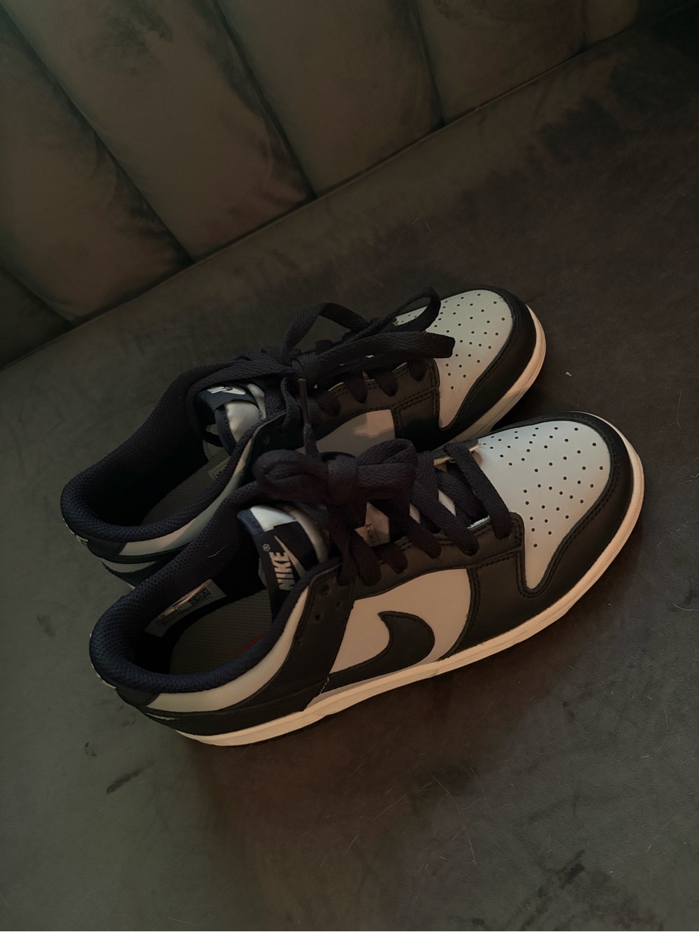 Nike Navy and White Dunks